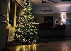 Hotel Alpex 3