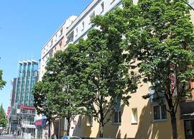 Hotel Kiez Pension Berlin 4