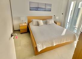 Estrella Dominicus Advantage 4
