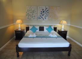 Hotel La Roussette 4