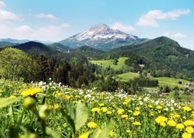 JUFA Hotel Annaberg 2