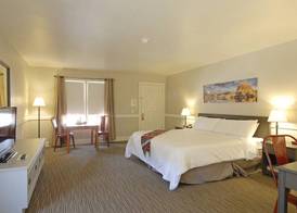 Palm Canyon Hotel and RV Resort 5