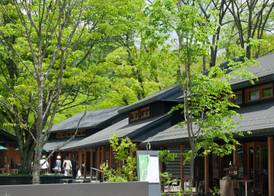 BEB5 Karuizawa by Hoshino Resorts 4