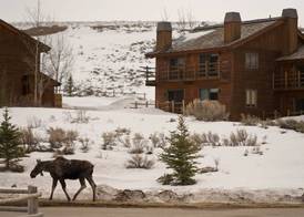Spring Creek Ranch 5