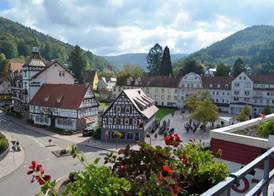 Hotel Harzer am Kurpark 5