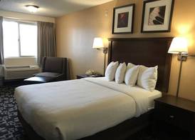 MorningGlory Inn & Suites 5