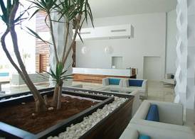 Hotel Les Palmiers 3