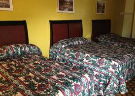 Flamingo Inn 5