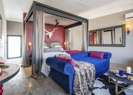 Etosha King Nehale 3