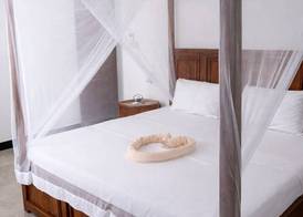 Majani Breeze Zanzibar 4
