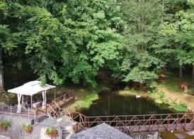 Parkhotel Forest 5