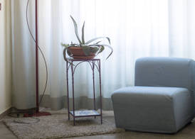 T Hotel- Adults Only, Pet Free Hotel 4