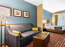 Comfort Suites Fairview Heights - St. Louis 4