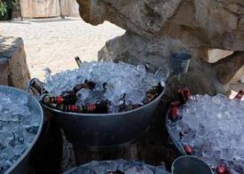 Cortijo Salinas 5