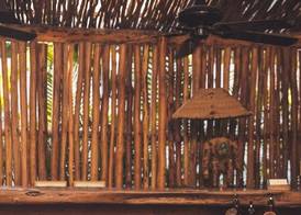 Encantada Tulum 2