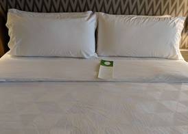 Holiday Inn CHAMPAIGN by IHG 3