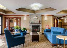 Comfort Suites Stevensville - St Joseph 3