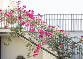 Donna Carmela Resort & Lodges 2