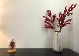 Apartamento Cúrcuma - Vigo Centro 4