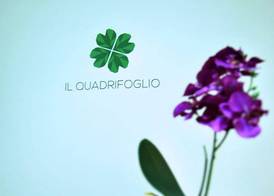 Il Quadrifoglio Room& Suite 4