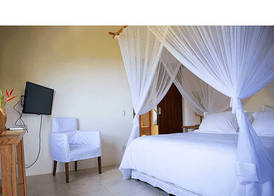 Casa Rabanete Trancoso 5