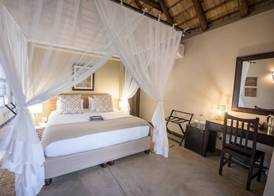 Bushbaby River Lodge 3