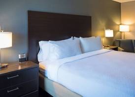 Holiday Inn ST. PAUL DOWNTOWN by IHG 2