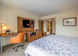 Holiday Inn SAN JOSE LA SABANA by IHG 5