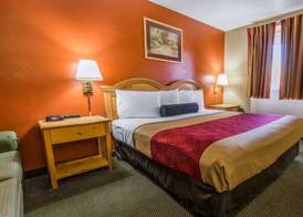 Econo Lodge Hermitage South 5