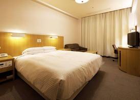 Hotel Grand Hill Ichigaya 4