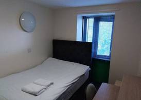 Trigg Hall 3