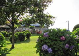Hotel Migal 2