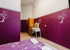 Hostel Tara 5