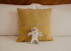 PREMIER SUITES Dublin, Leeson Street 5