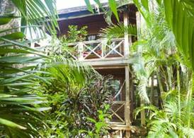 Las Rocas Resort and Dive Center 3
