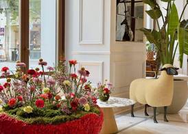 THE DOLLI at Acropolis, A Hotel to Live 5