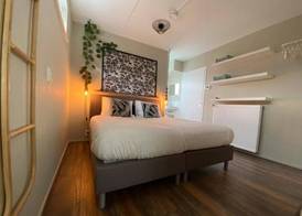 Hakuna Matata 4