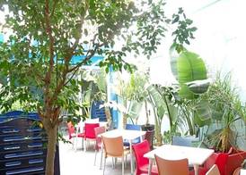 Parrots Sitges Hotel 4