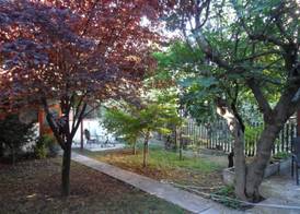Hostel Oasis 5