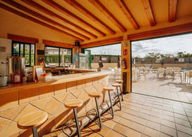 Apartamentos Palm Court 4