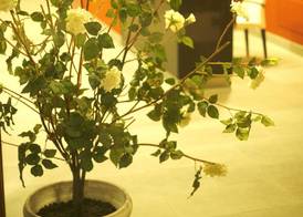 Hotel Herbeira 2