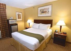 Holiday Inn Express & Suites ST. LOUIS WEST - FENTON by IHG 5