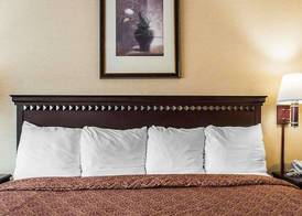 Econo Lodge Elmira-Corning 5