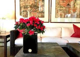 Rachamankha Hotel 5