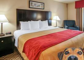 Comfort Inn Troutdale-Portland East 2