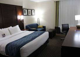 Comfort Inn & Suites Near Six Flags & Medical Center 5
