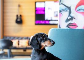 Moxy Houston Downtown 5