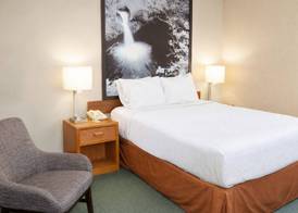 Super 8 by Wyndham Antigo 5