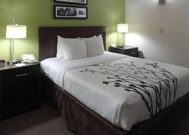 Sleep Inn & Suites Near Columbus - State University Area 3