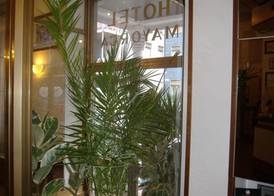 Hotel Mayorca 5